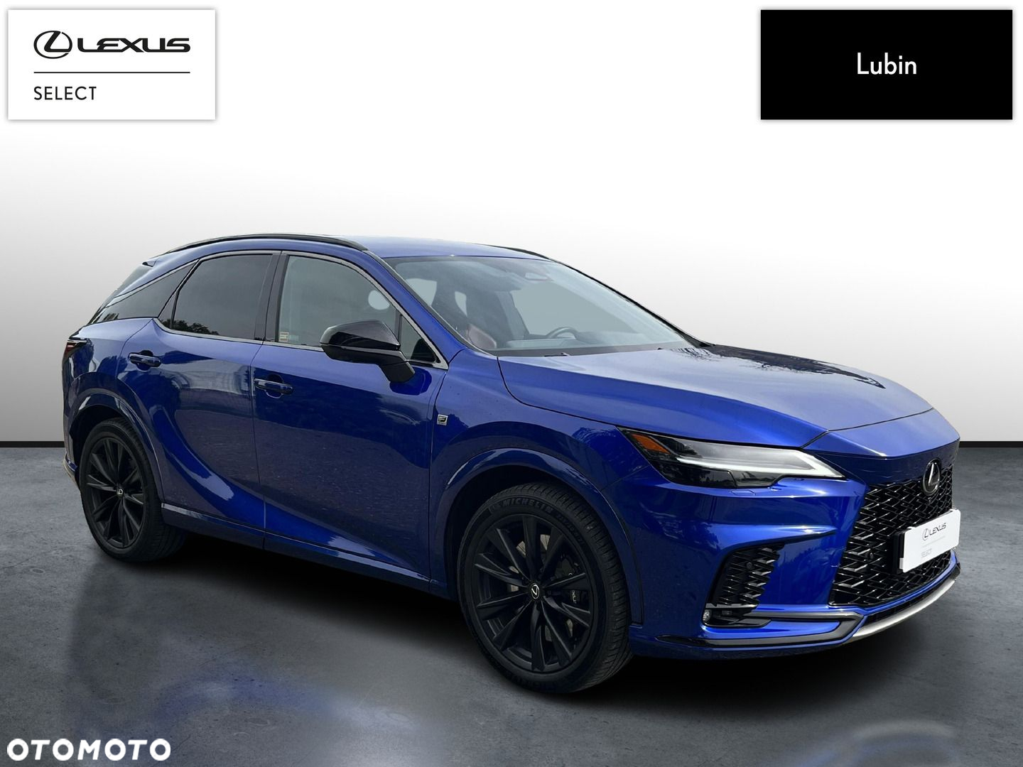 Lexus RX - 6