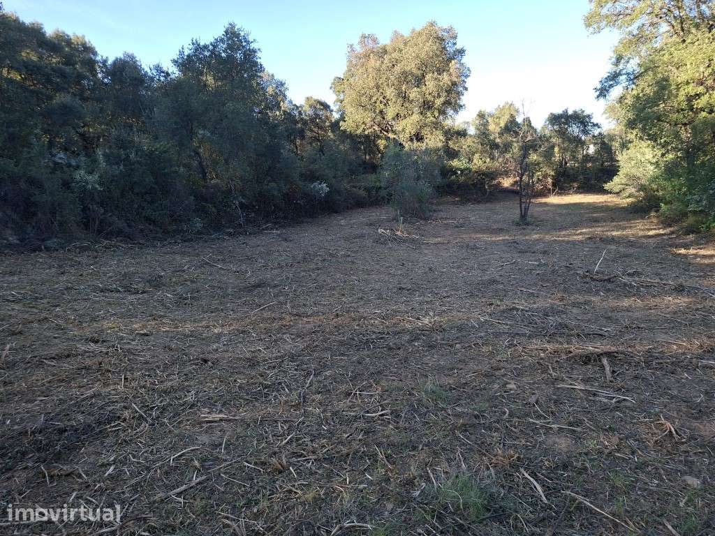 Terreno Agrícola - Telhado / Fundão - 10.000 m² - Grande imagem: 5/10