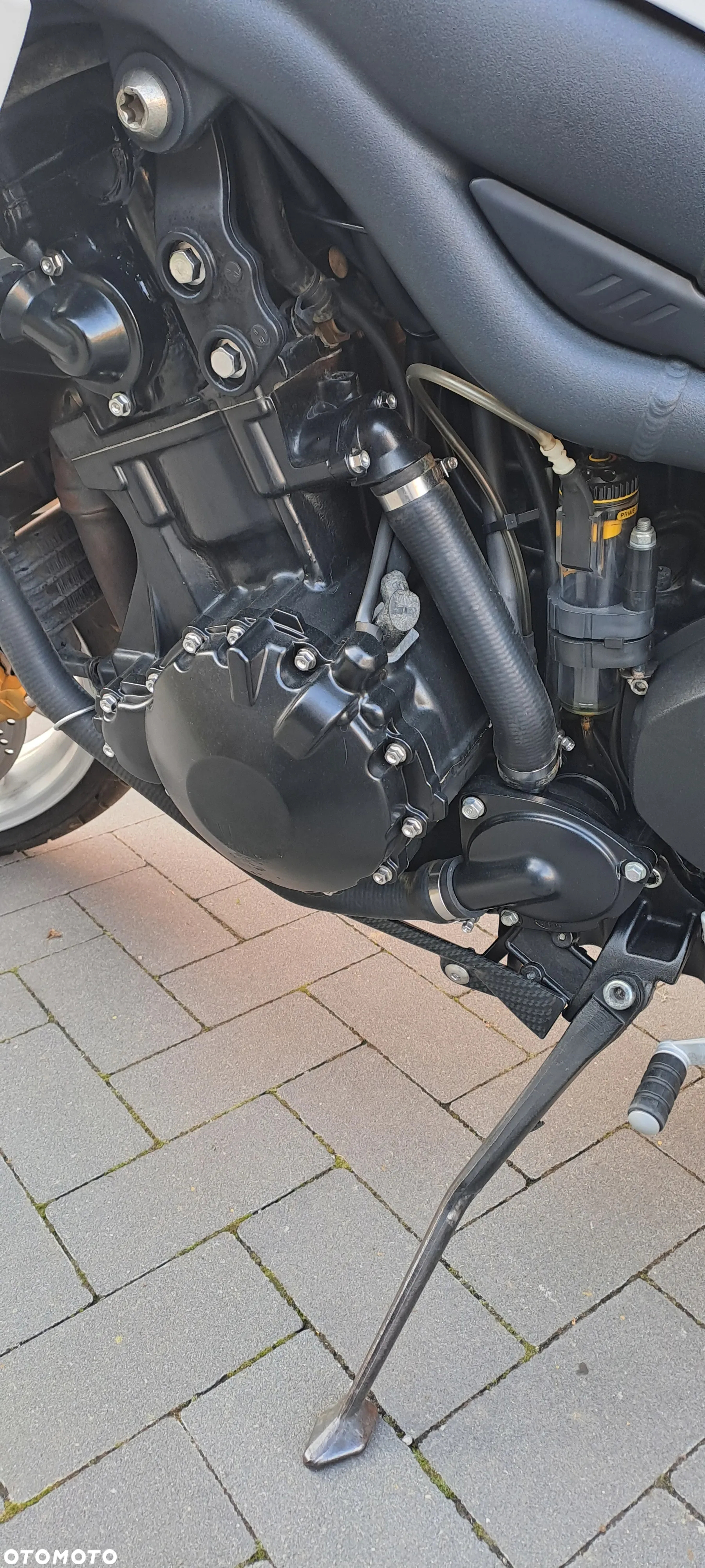 Triumph Tiger - 5