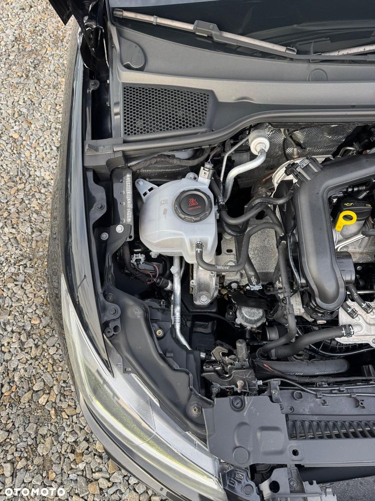 Seat Ibiza 1.0 TSI S&S Xcellence - 18