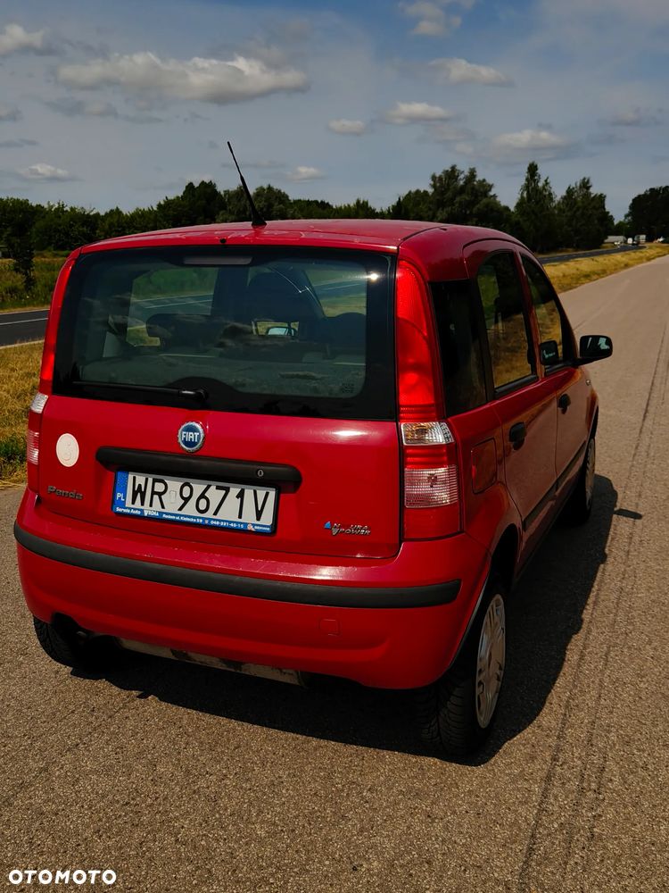 Fiat Panda 1.2 Dynamic - 3