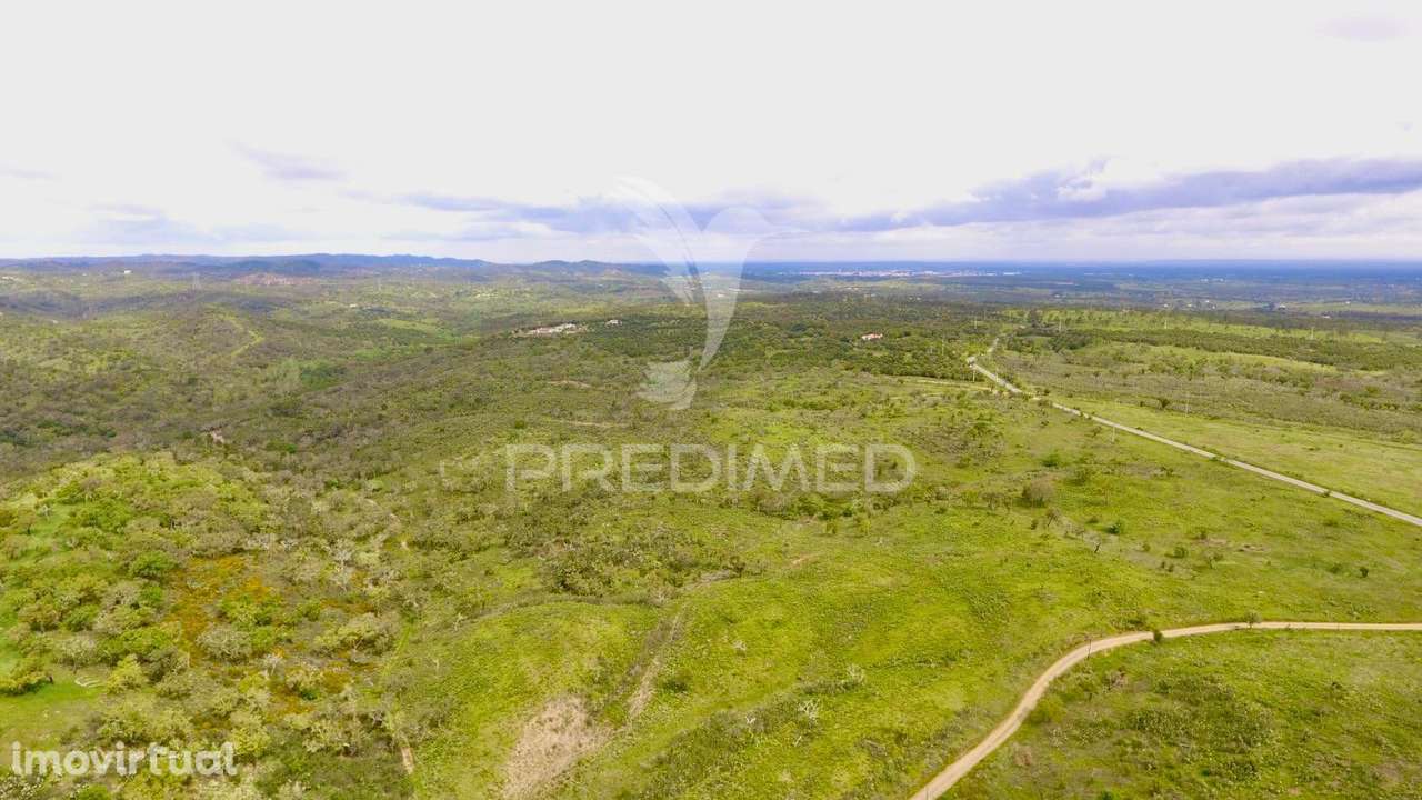 Grandola / Terreno Rustico com 8.5 hectares - Grande imagem: 3/19