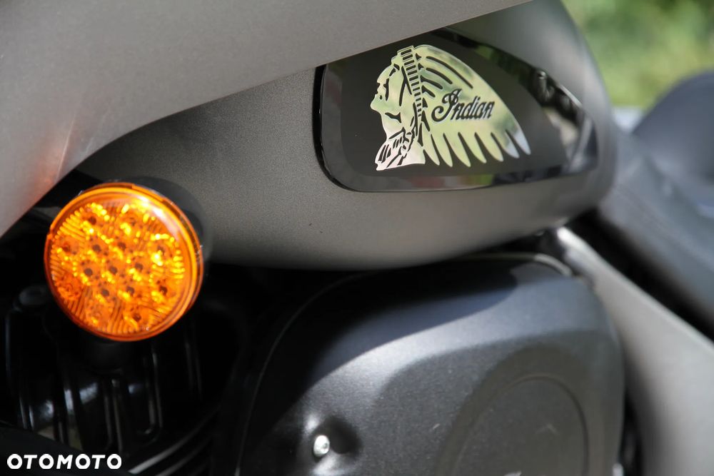 Indian Chieftain - 14