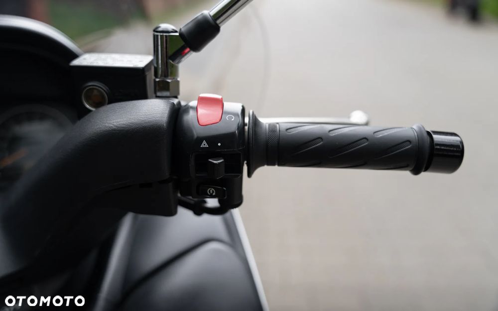 Suzuki Burgman - 19