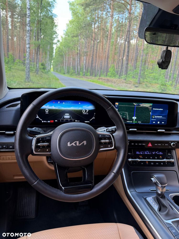 Kia Carnival - 19