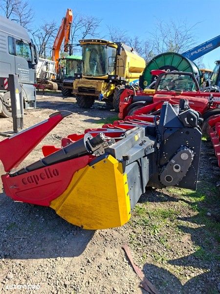 CAPELLO Qasar R8 - 1