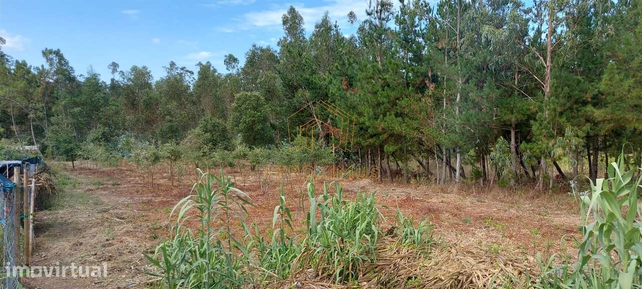 Terreno  - Quintais de Asseiçó, Paião - Grande imagem: 4/7