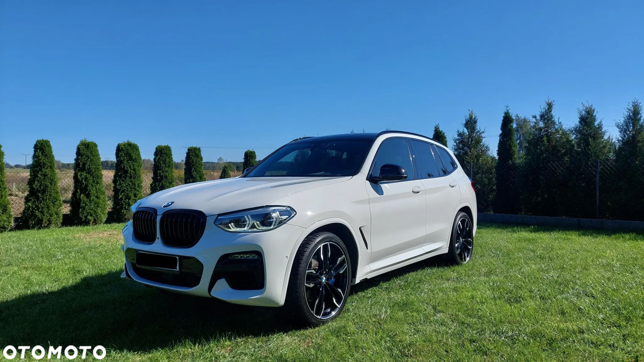 BMW X3 X3M - 1