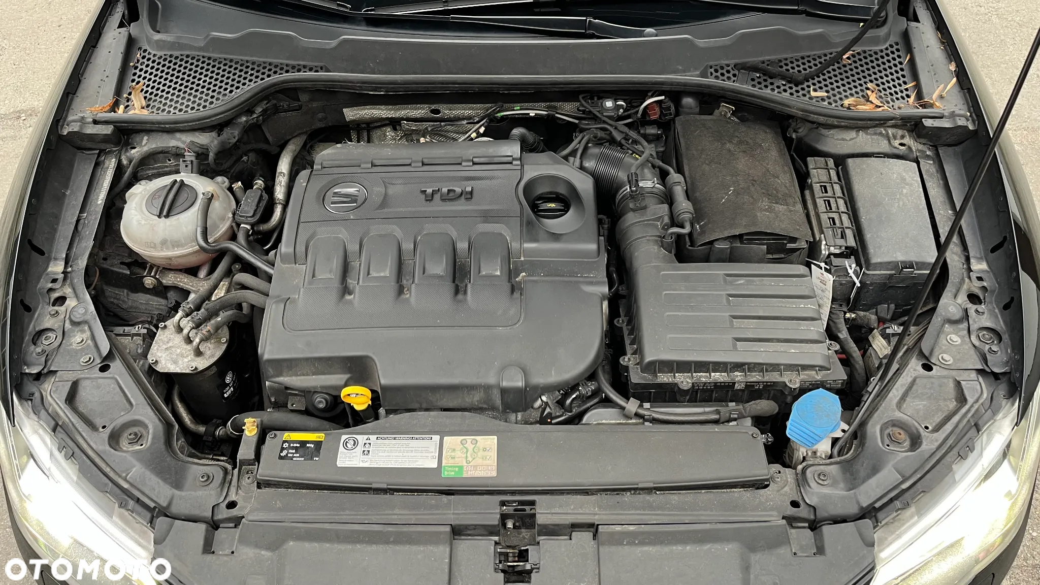 Seat Leon SC 2.0 TDI FR S&S - 23