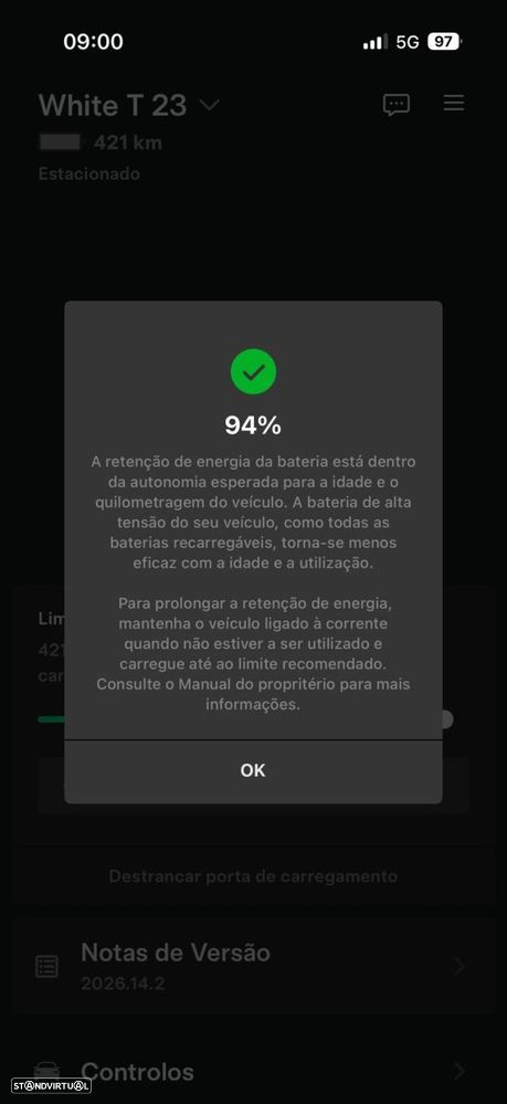 Tesla Model 3 Tração Traseira Premium - 26