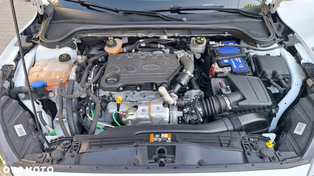 Ford Focus - 25