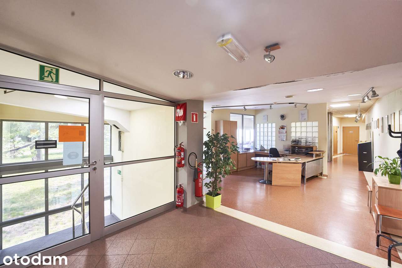 Hala produkcyjna 3900 m2, grunt 1h, Teofilów Przem - Pełny obrazek: 4/4