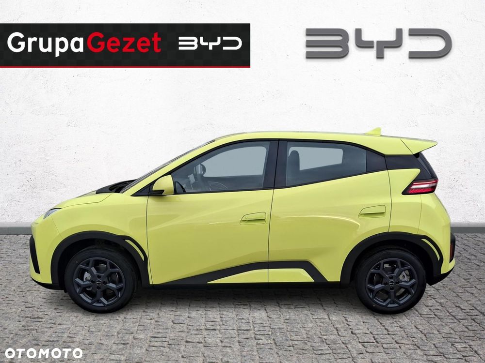 BYD Dolphin Surf 43.2kWh Boost - 2