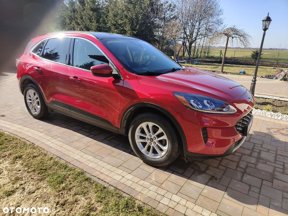 Ford Escape - 7