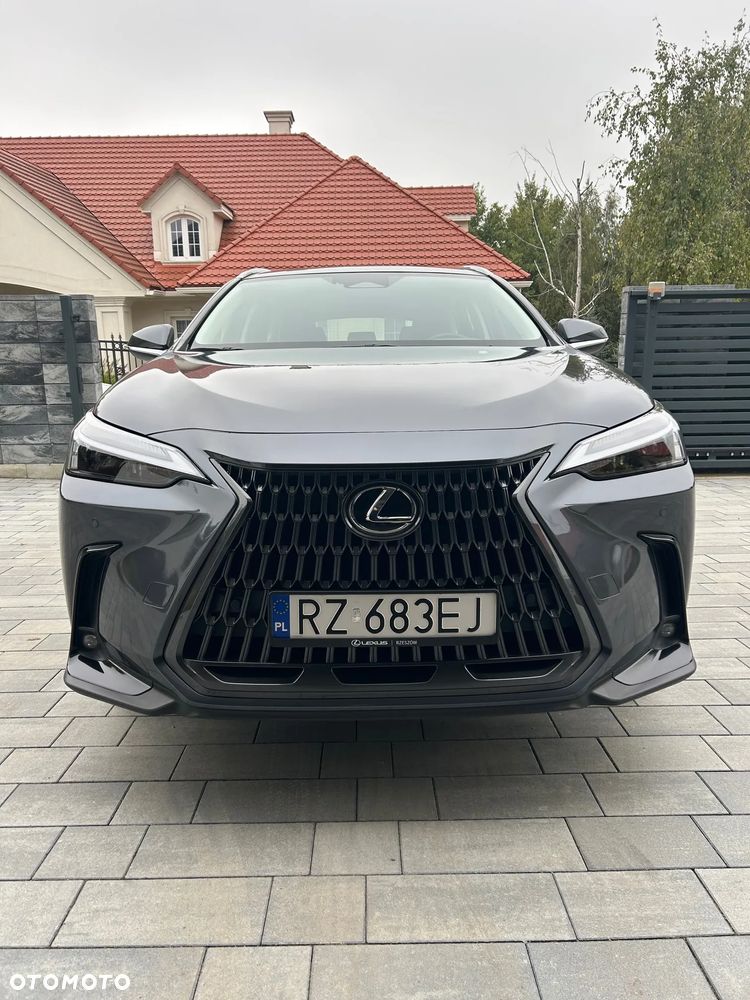 Lexus NX 350h Business AWD - 1