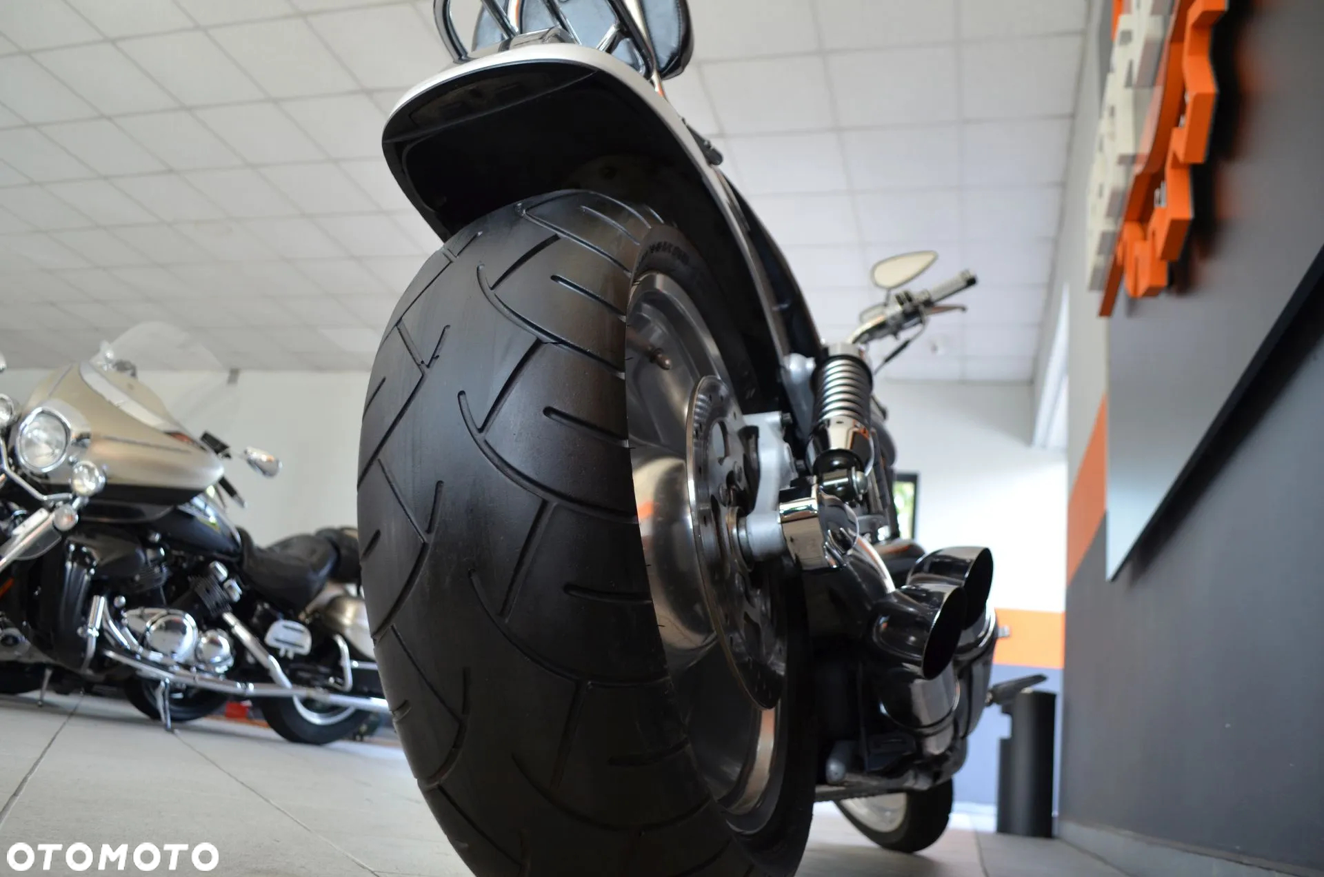 Harley-Davidson Softail V-Rod - 21