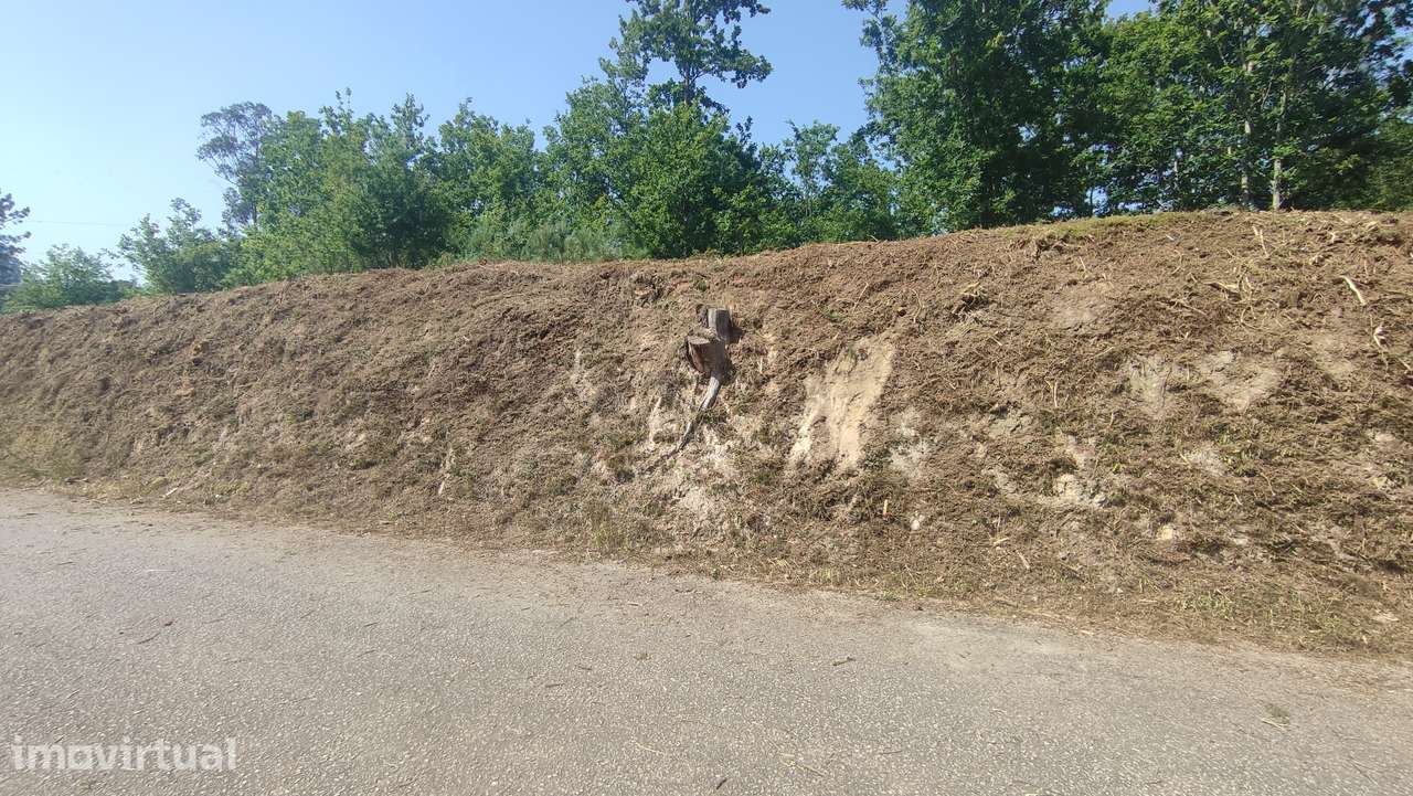 Terreno em Fiscal, Amares - Grande imagem: 4/15