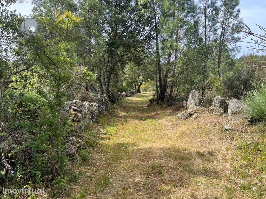 Quintinha 'Off-Grid' com Poço, Árvores e Linha de Água - Castelo Br... - Grande imagem: 4/28
