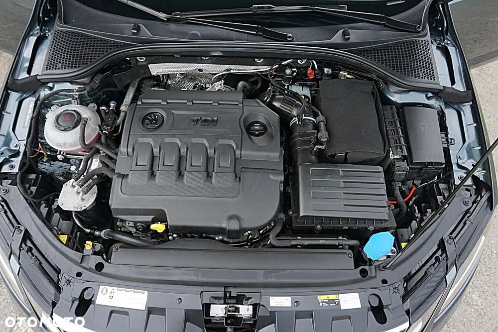 Skoda Octavia - 36