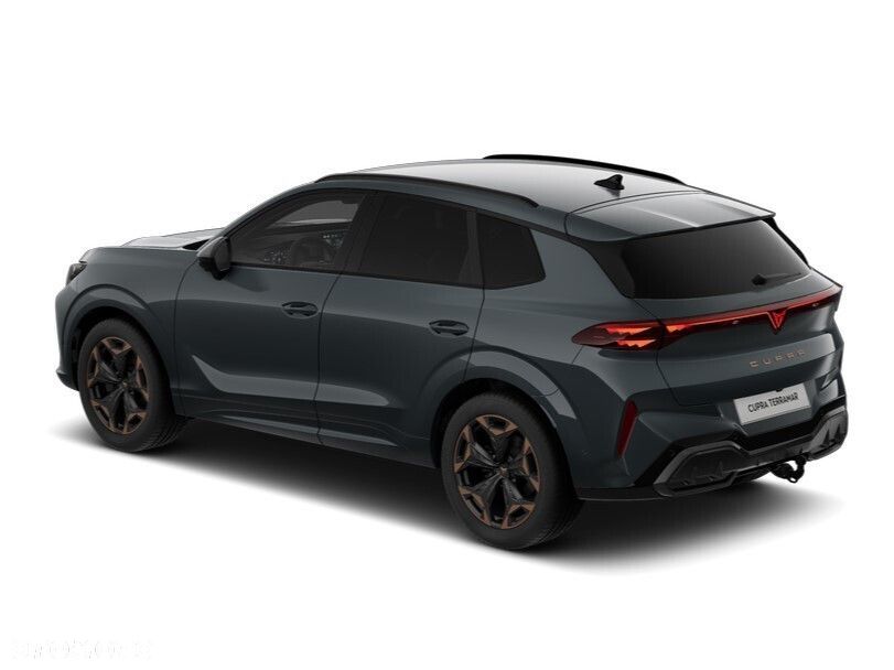 Cupra Terramar 2.0 TSI 4Drive DSG - 3