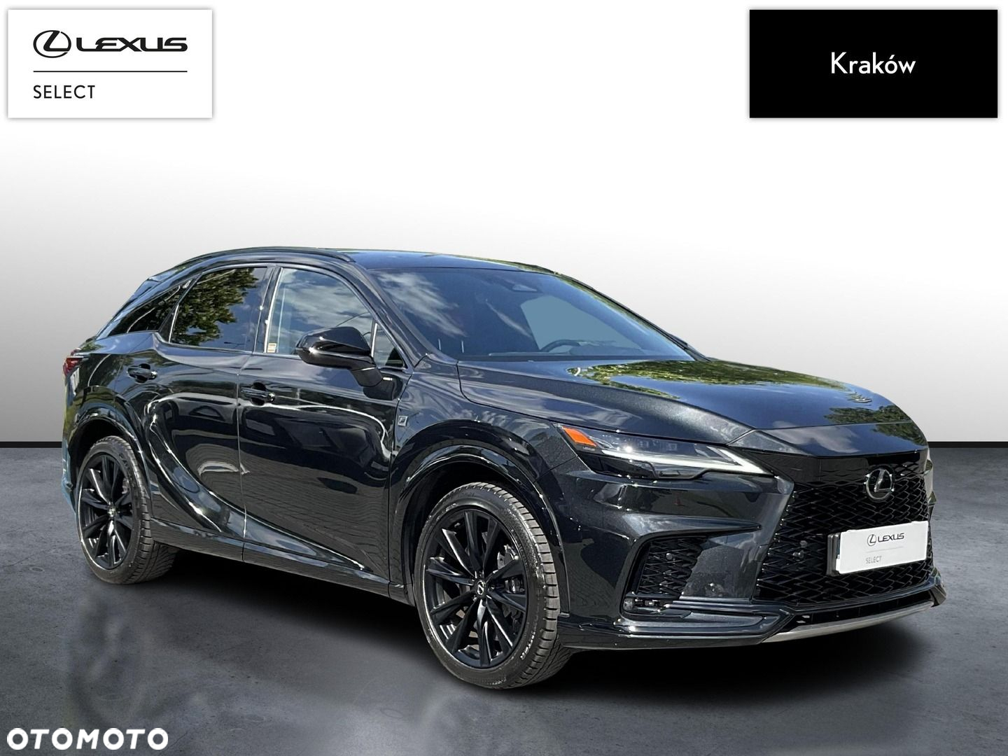 Lexus RX - 7
