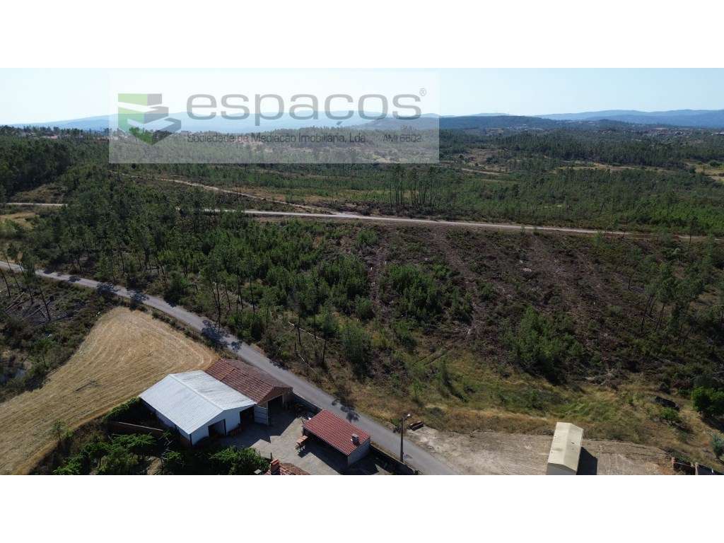 Terreno em Versadas - Grande imagem: 3/8