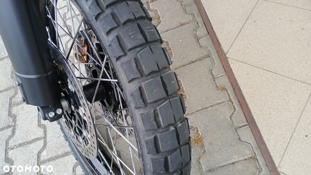 Triumph Tiger - 20