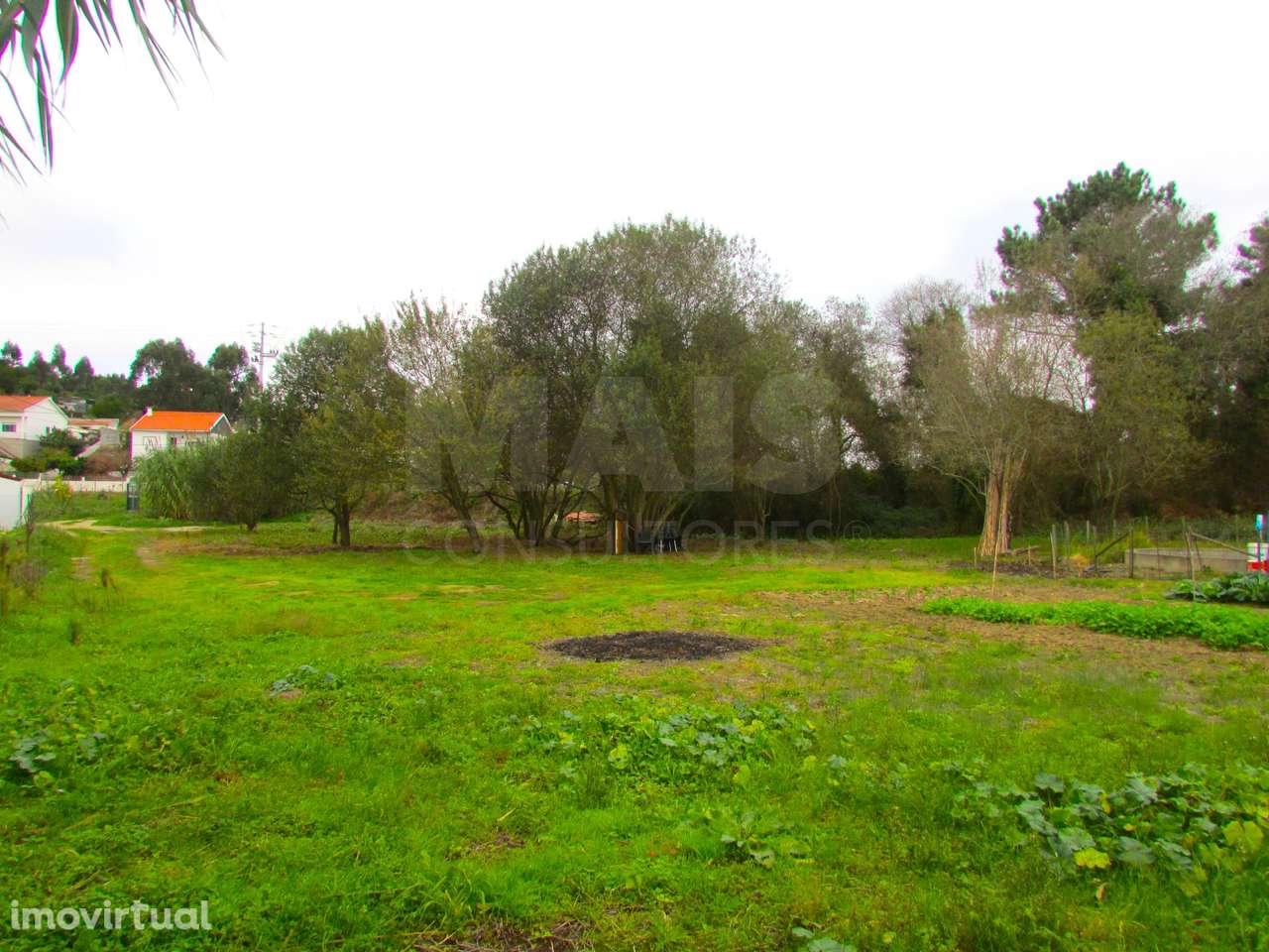 Terreno Misto - 1ha - Torres Vedras - Ramalhal - Grande imagem: 3/7