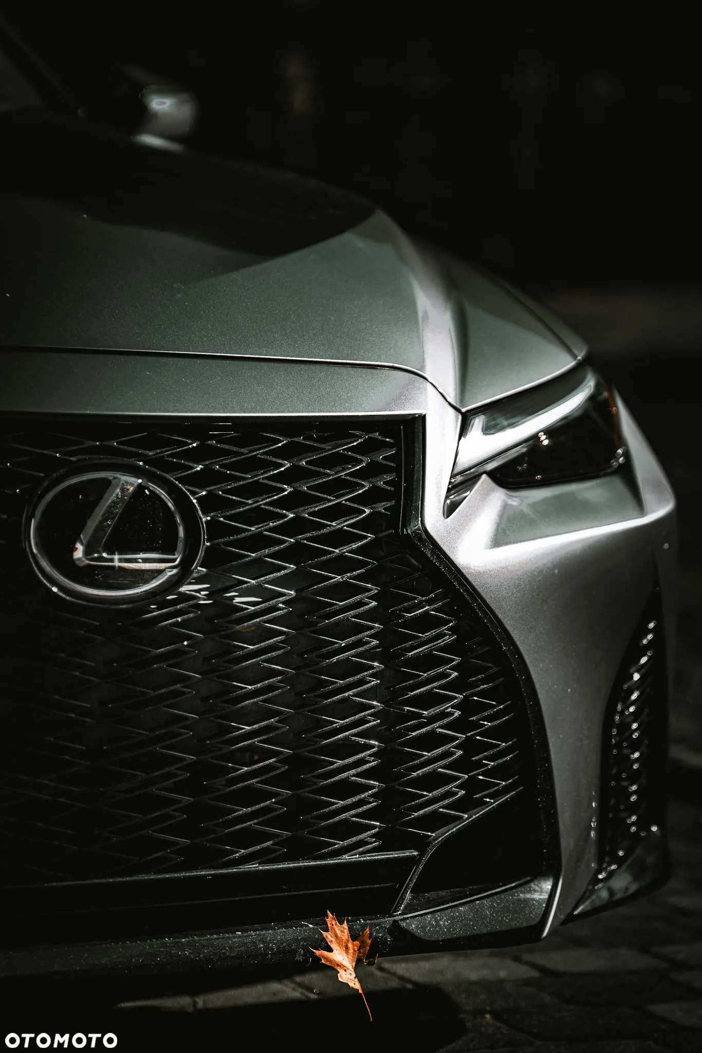 Lexus IS - 28