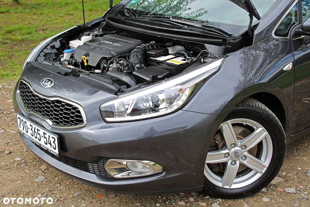Kia Ceed 1.6 CRDi 128 Fifa World Cup Edition - 37