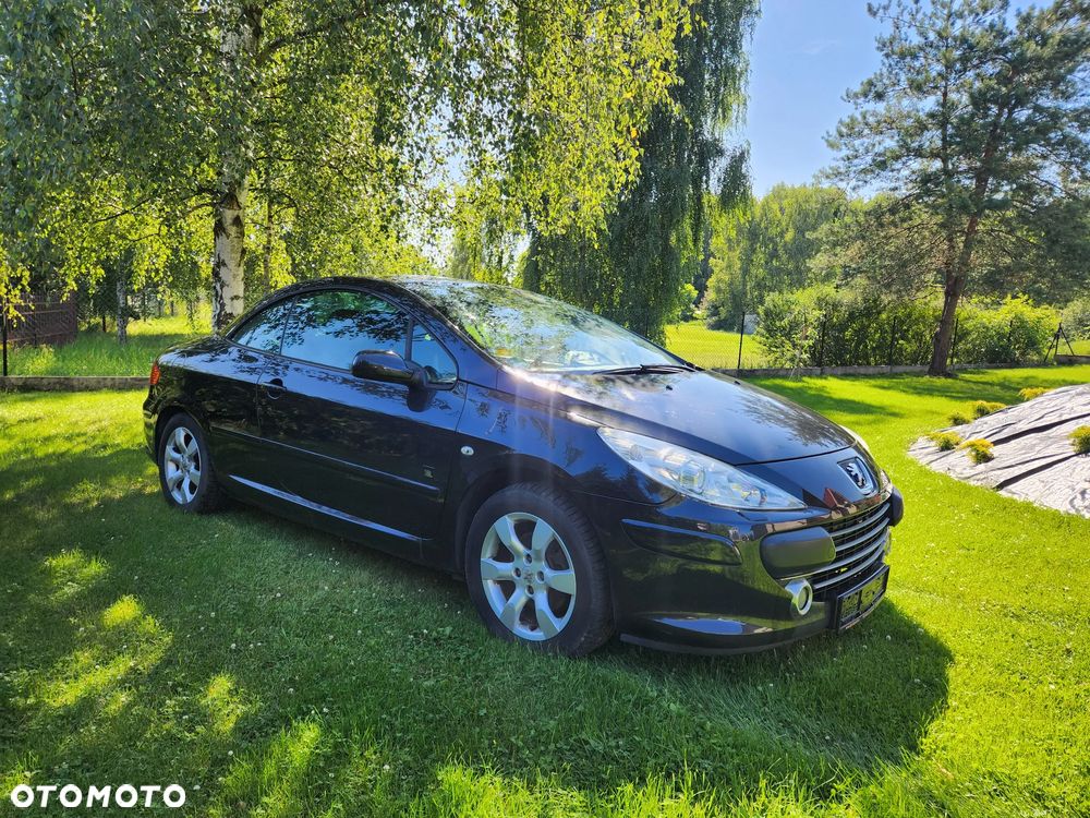 Peugeot 307 - 15