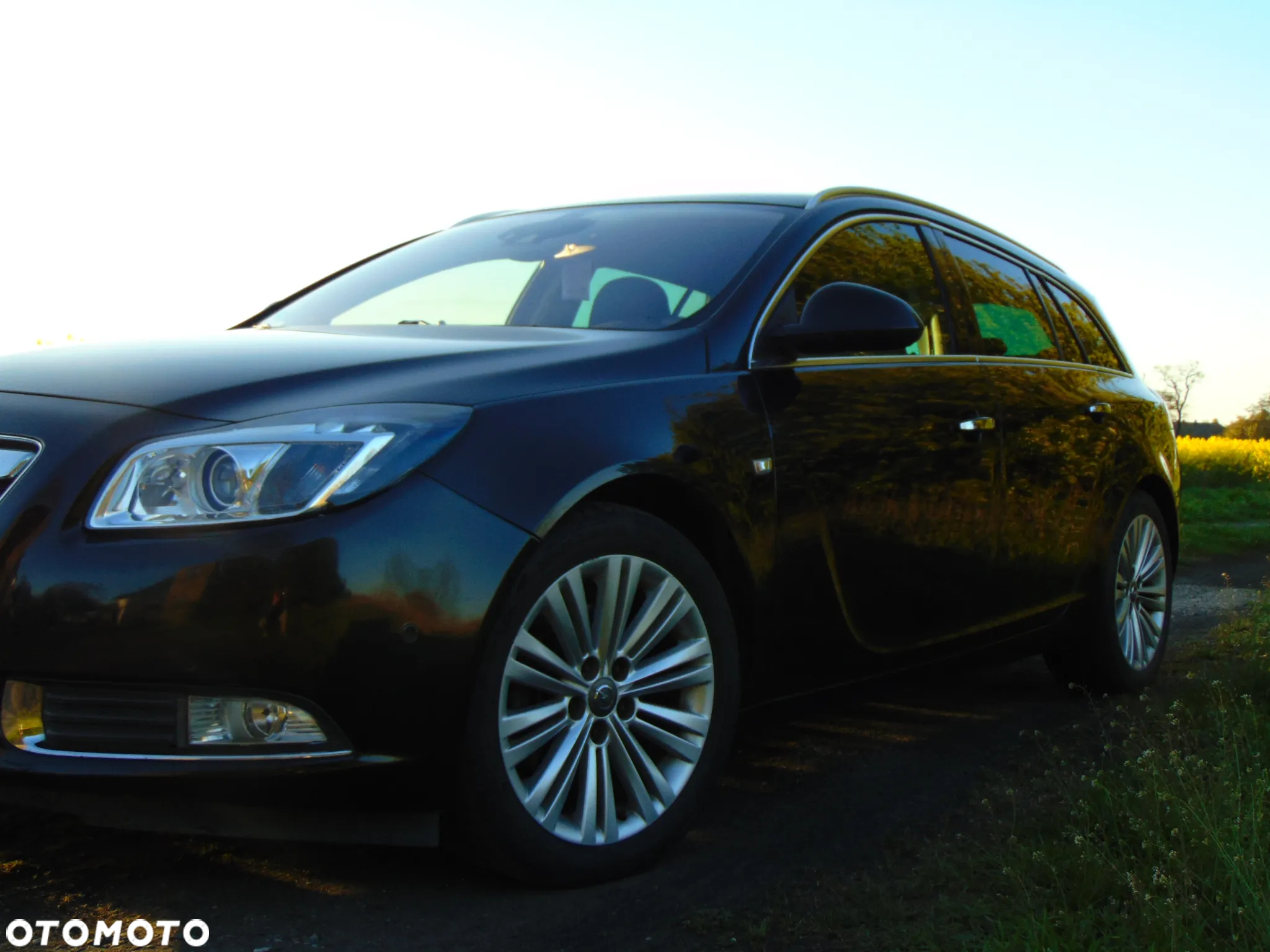 Opel Insignia 2.0 CDTI Sports Tourer ecoFLEX Cosmo - 9