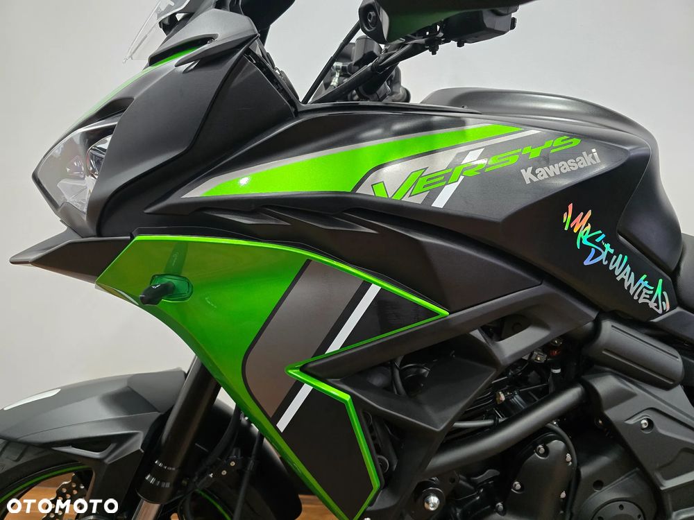 Kawasaki Versys 650 - 17