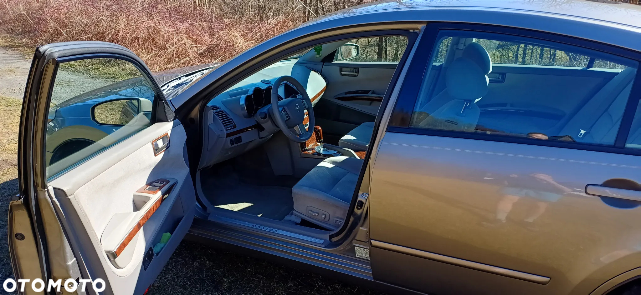 Nissan Maxima 3.5 SE - 19
