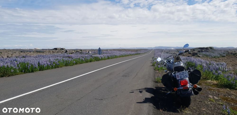 Suzuki VL 800 Volusia - Boulevard C50 - 21