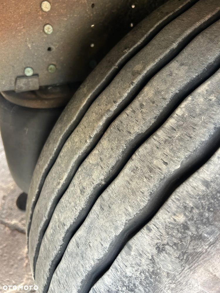 Schmitz Cargobull FIRANKA / 10 SZTUK / BARDZO ŁADNE OPONY / Z PEŁNYM WYPOSAŻENIEM DO ZAŁADUNKU / 2 KOŁA ZAPASOWE / DOSTĘPNE KOLORY SREBRNY - NIEBIESKI - CZERWONY / NIEKTÓRE MAJĄ NOWE PLANDEKI !! - 23