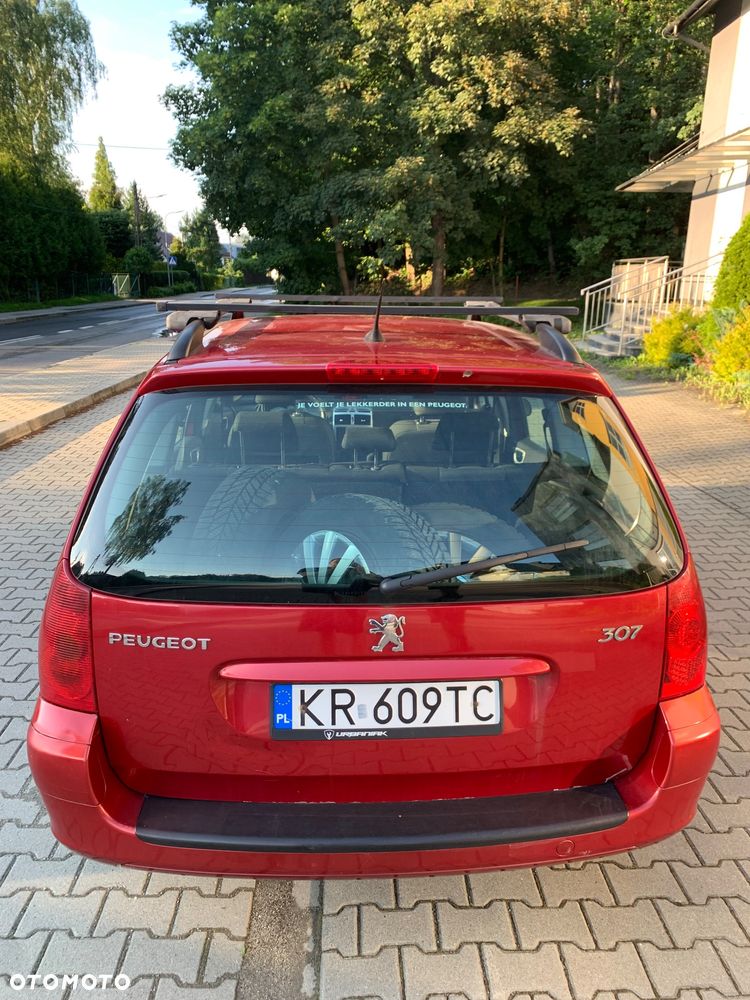 Peugeot 307 - 10