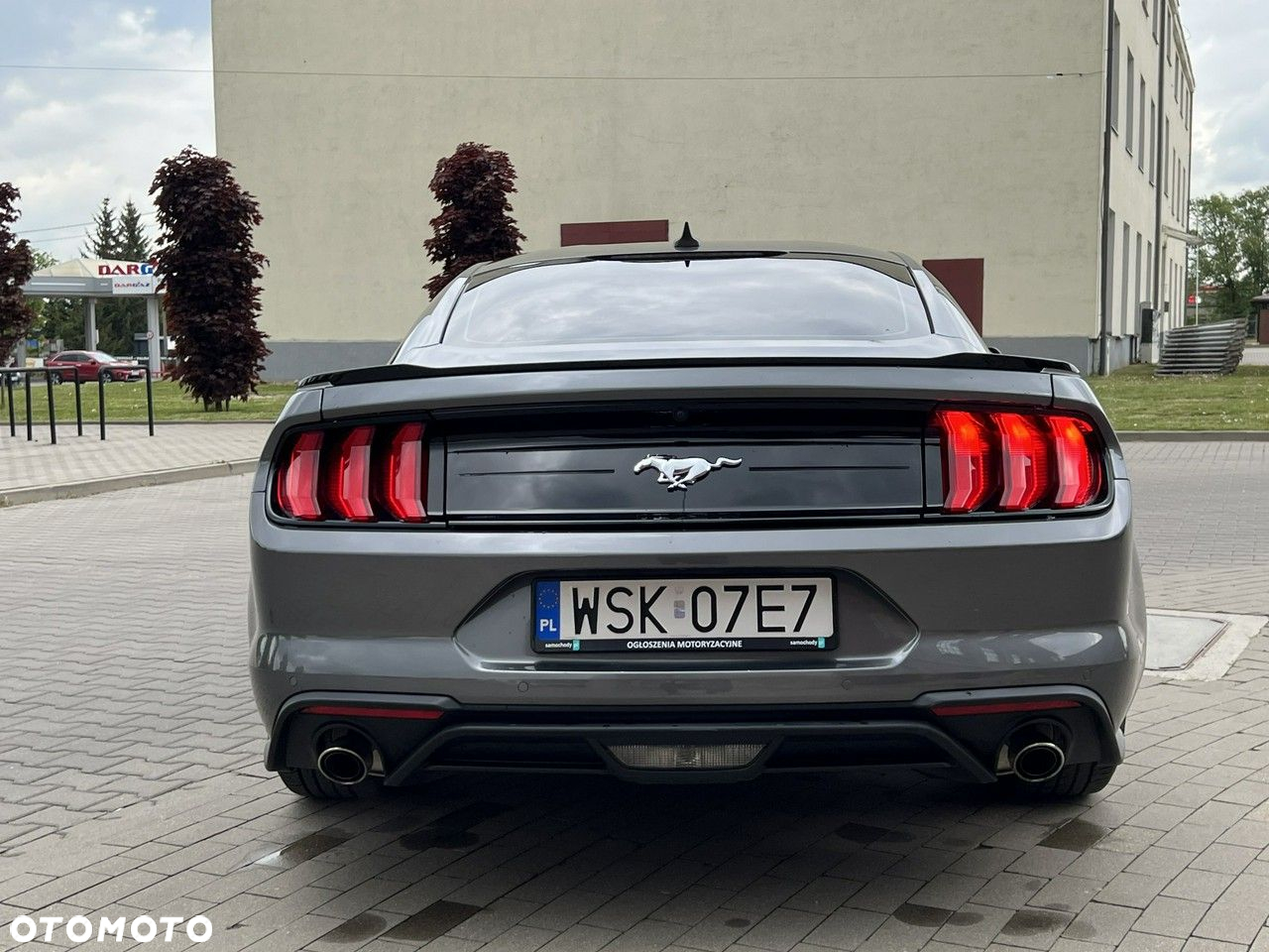 Ford Mustang - 4
