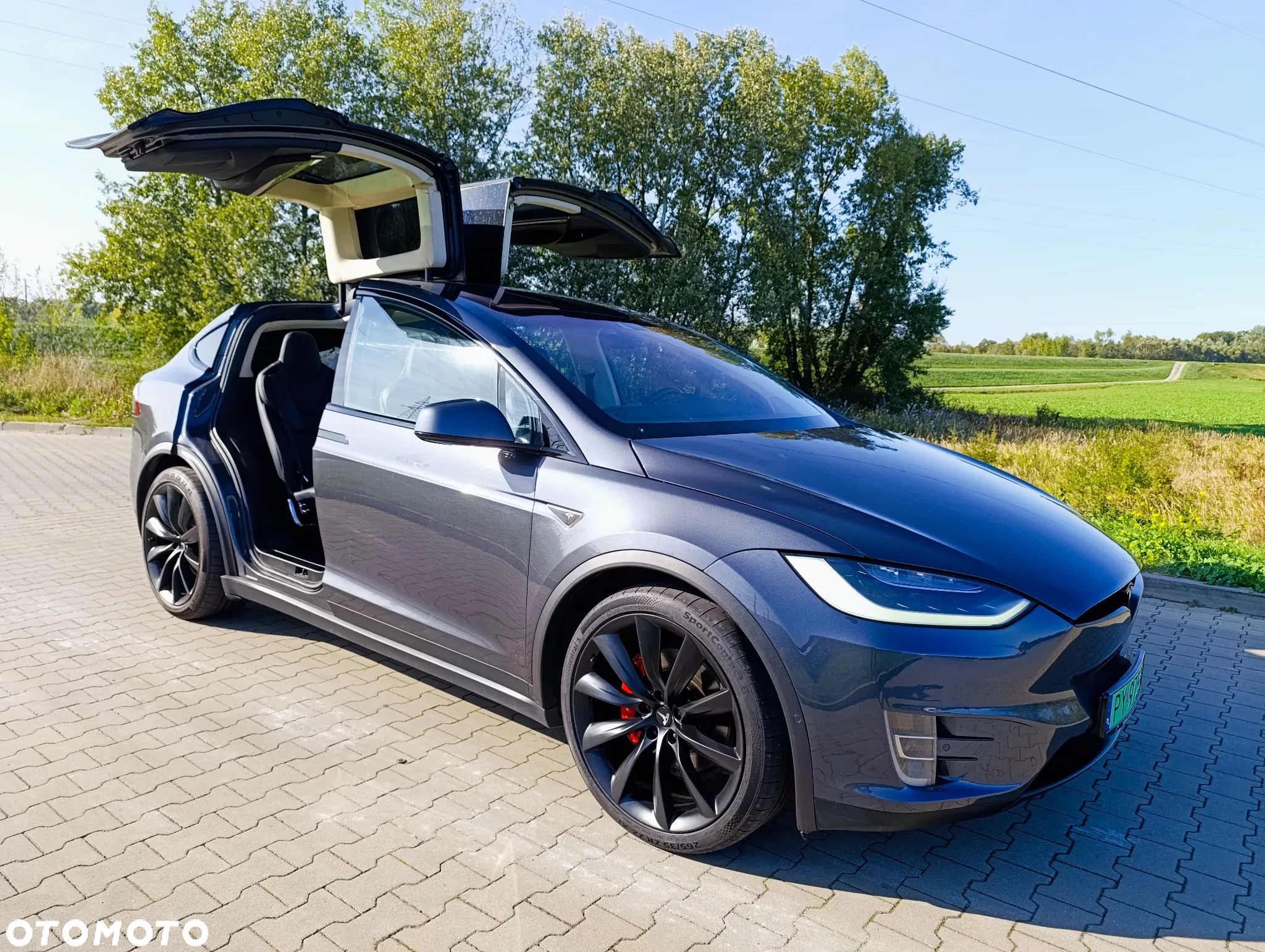 Tesla Model X Performance - 29