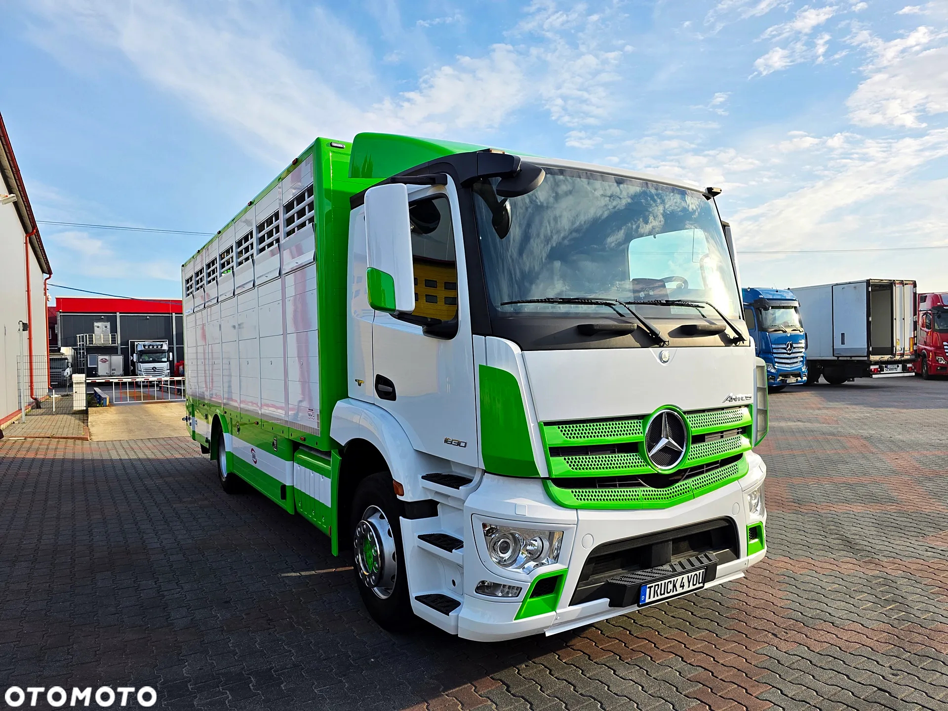 Mercedes-Benz Antos 1830 / Nowa zabudowa z wagą / do żywca / zwierząt / bydła / DMC 18T - 3