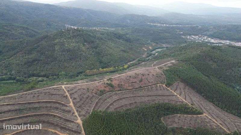 Oportunidade! Terreno Legalizado com Potencial de Construção – Arganil - Grande imagem: 2/6