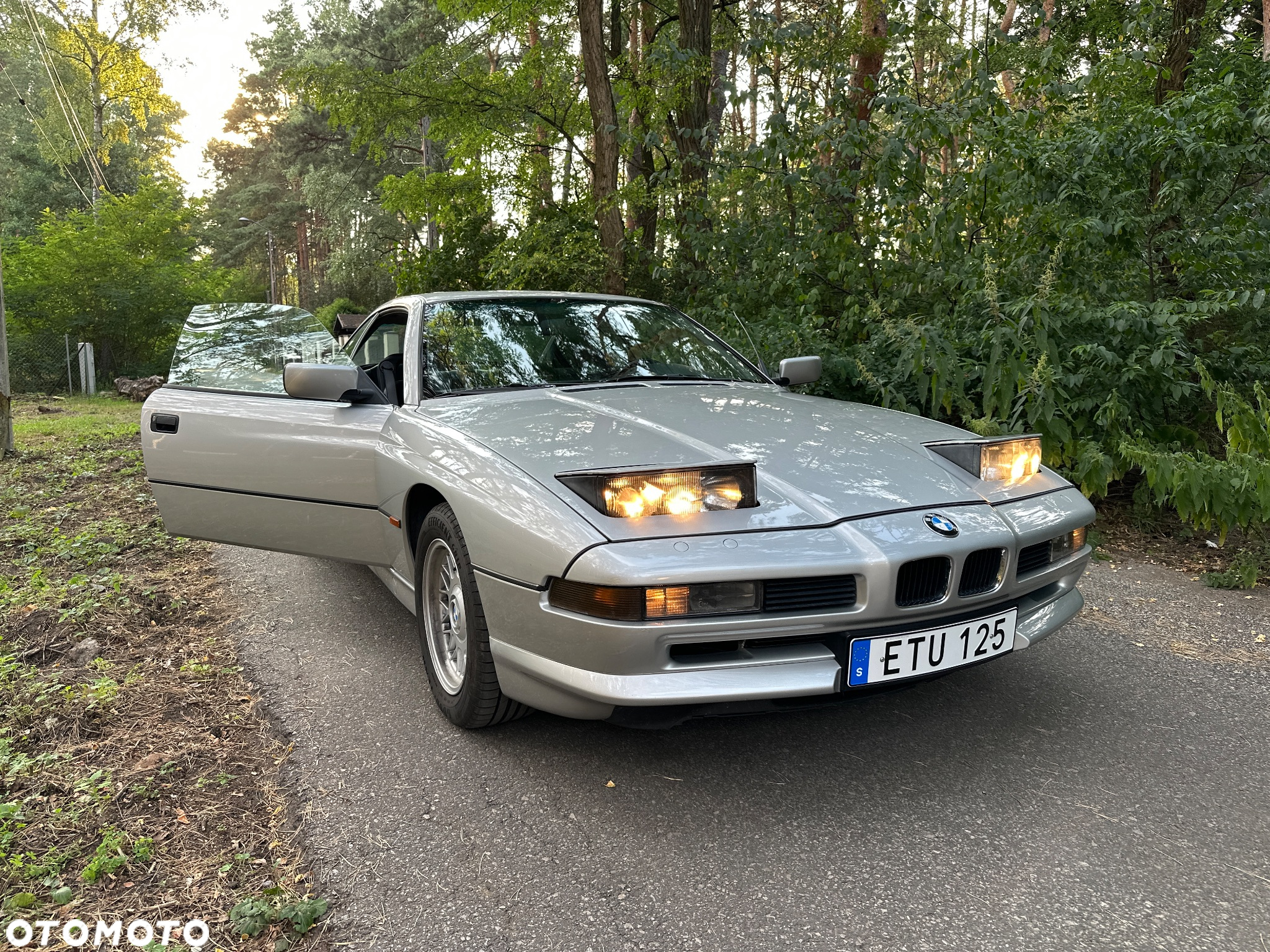BMW Seria 8 850 Ci - 12