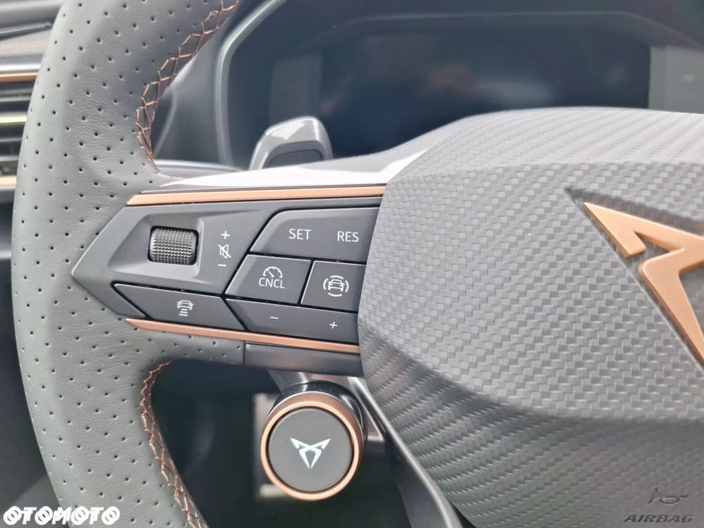Cupra Formentor 2.0 TDI DSG - 29