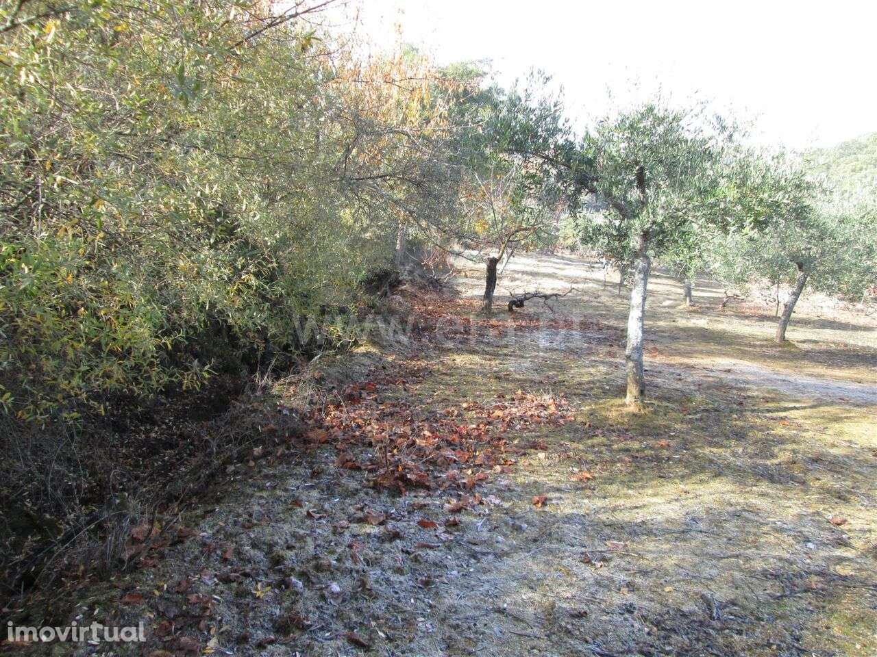 Quinta / Fundão, Telhado - Grande imagem: 2/8