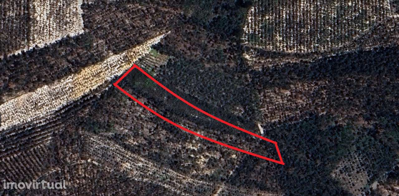 Terreno  para venda - Grande imagem: 5/7