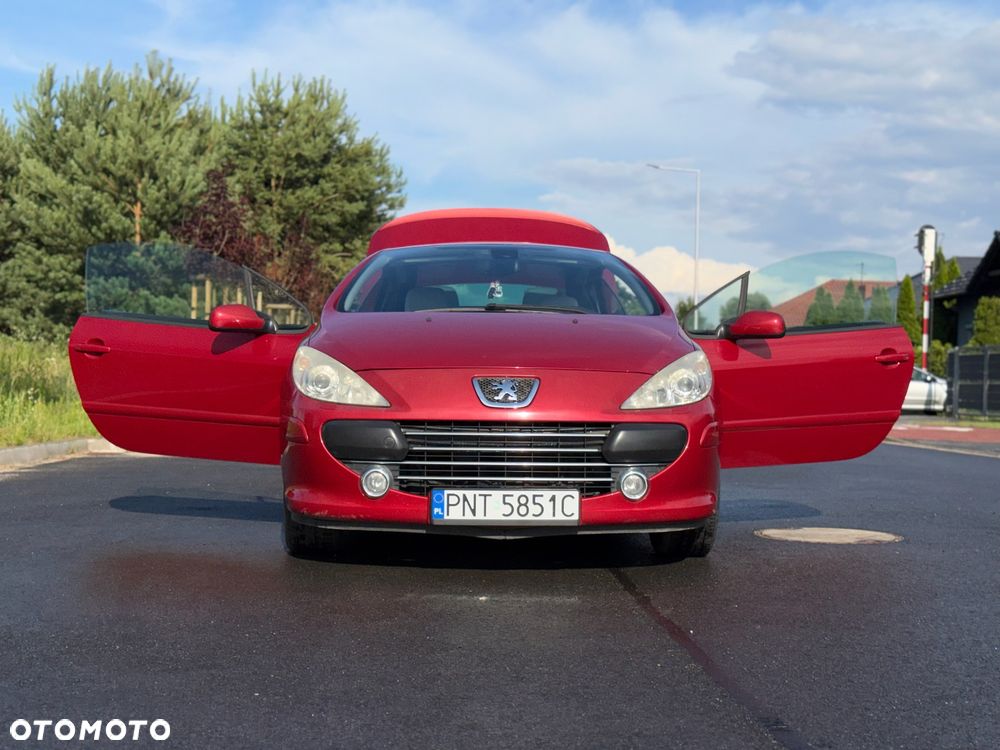 Peugeot 307 - 13