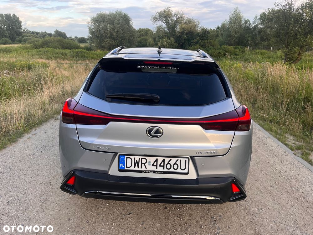 Lexus UX 250h GPF F Sport Edition 2WD - 13
