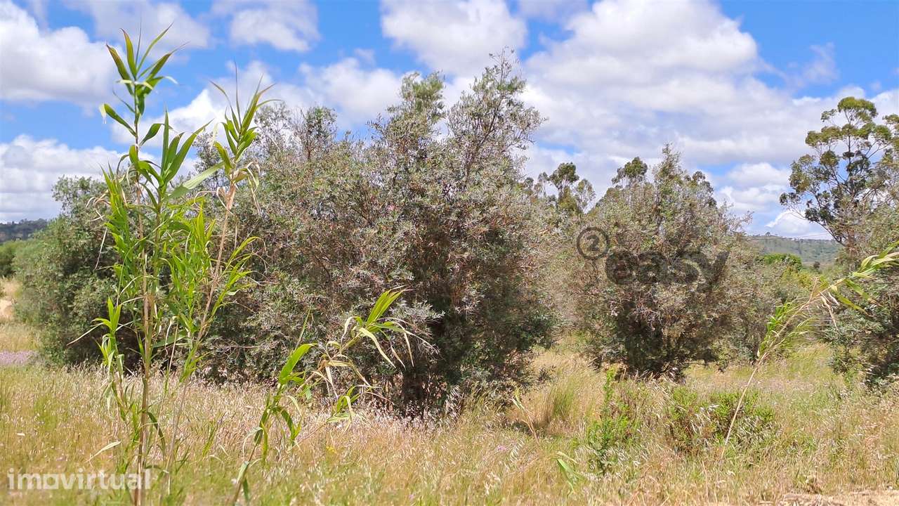 Terreno Rústico para Venda em Vidigueira, com 6 750 m². - Grande imagem: 5/10