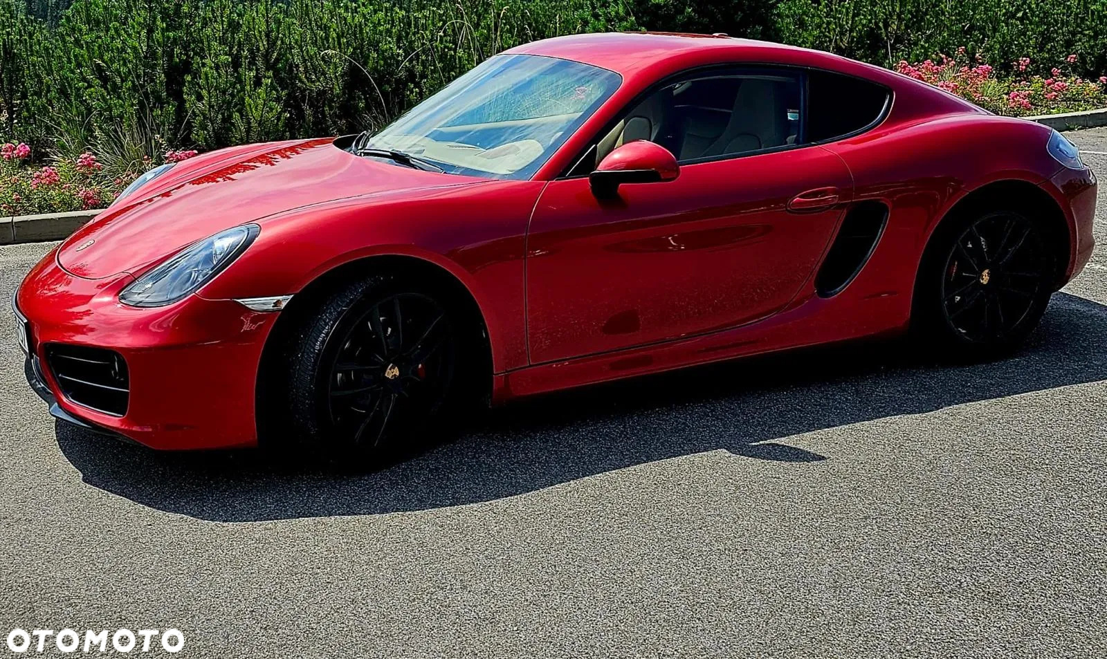 Porsche Cayman PDK - 23