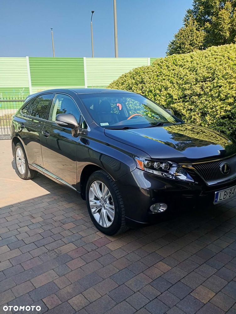 Lexus RX Standard - 6